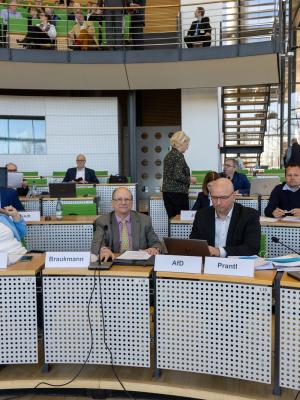 Team Corona-Aufklärer der AfD